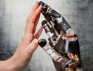 Monkey feels touch with prosthetic hand