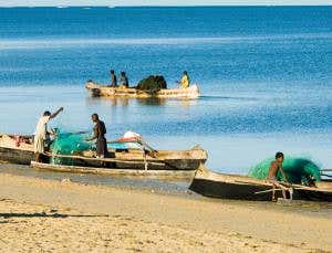 Biologists call for part privatisation of oceans