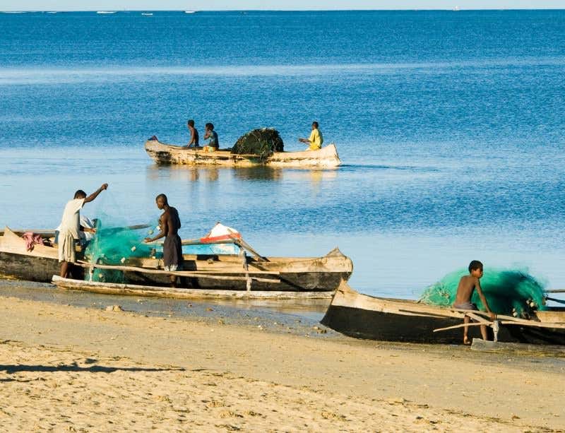 New Scientist. Science news and long reads from expert journalists, covering developments in science, technology, health and the environment on the website and the magazine.