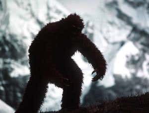 Beware of the yeti, and spurious science too