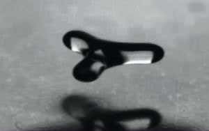 Humble drops of water levitate their way to stardom