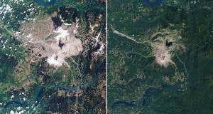 Life returns to slopes of America's deadliest volcano