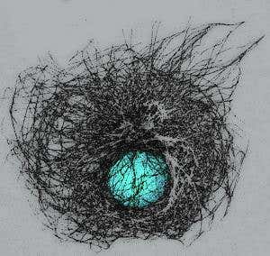 'Egg' in cellular nest shows off the Small World