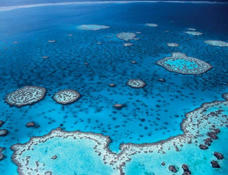 New Scientist. Science news and long reads from expert journalists, covering developments in science, technology, health and the environment on the website and the magazine.