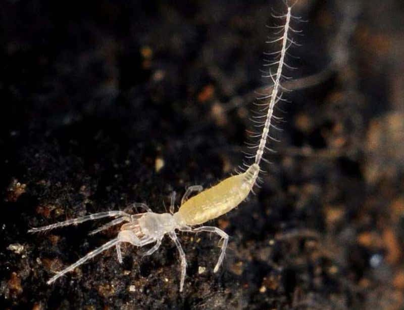 New Scientist. Science news and long reads from expert journalists, covering developments in science, technology, health and the environment on the website and the magazine.