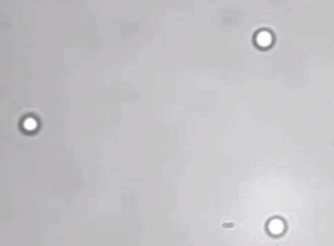 Iron 'nano-ants' made to haul huge loads with light