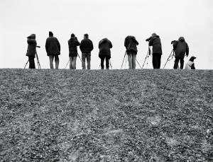 Books and apps make animal-spotting easier than ever