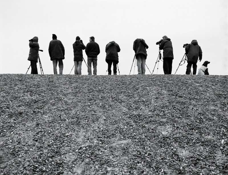 New Scientist. Science news and long reads from expert journalists, covering developments in science, technology, health and the environment on the website and the magazine.