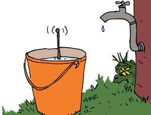 Feedback: Amazing miracle water