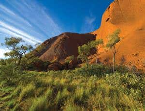 The great greening: The coming of our new lush Earth