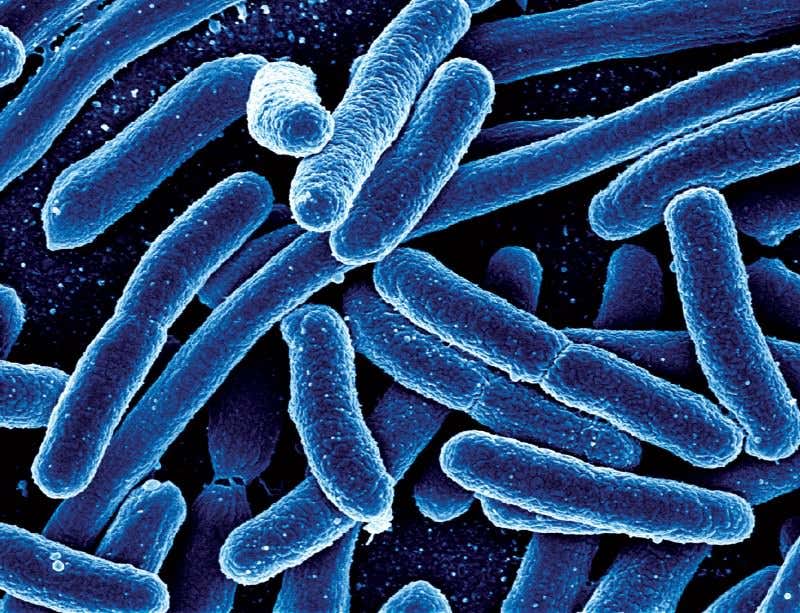 New Scientist. Science news and long reads from expert journalists, covering developments in science, technology, health and the environment on the website and the magazine.