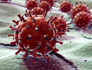 'Bubble kid' success puts gene therapy back on track