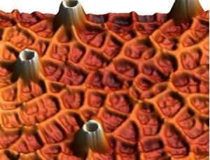 New Scientist. Science news and long reads from expert journalists, covering developments in science, technology, health and the environment on the website and the magazine.