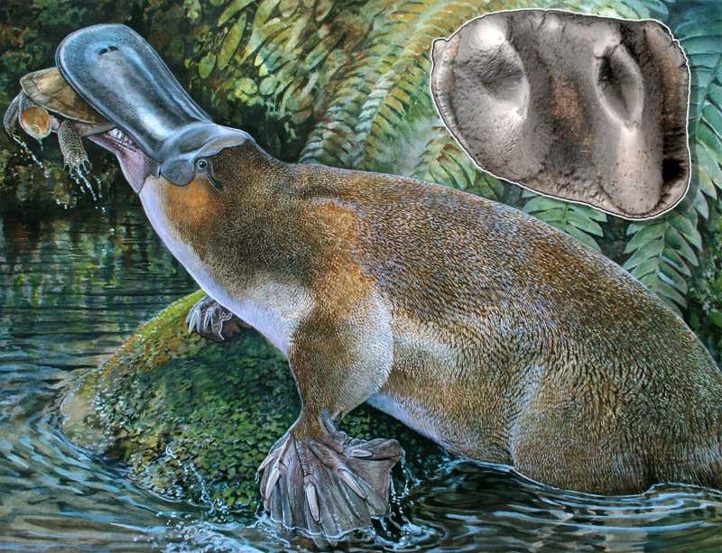 New Scientist. Science news and long reads from expert journalists, covering developments in science, technology, health and the environment on the website and the magazine.