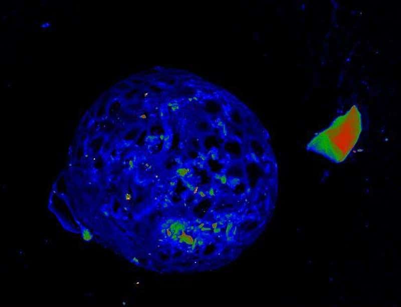 New Scientist. Science news and long reads from expert journalists, covering developments in science, technology, health and the environment on the website and the magazine.