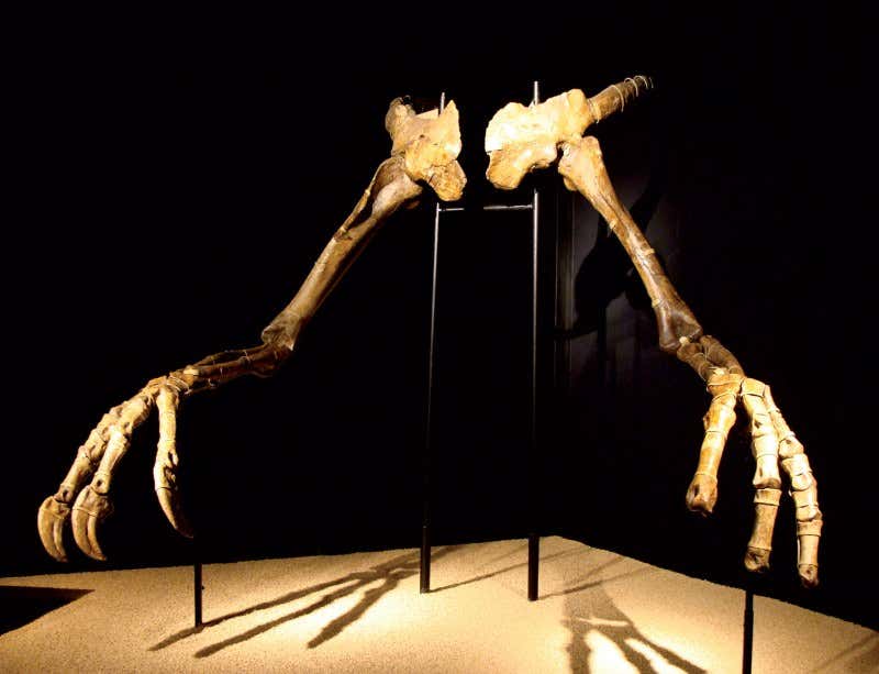 New Scientist. Science news and long reads from expert journalists, covering developments in science, technology, health and the environment on the website and the magazine.