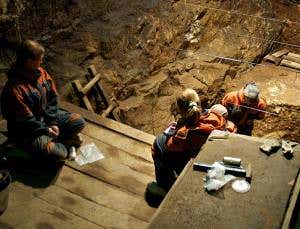 Mystery human species emerges from Denisovan genome