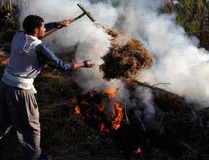 UN negotiators ditch climate-friendly agriculture plan