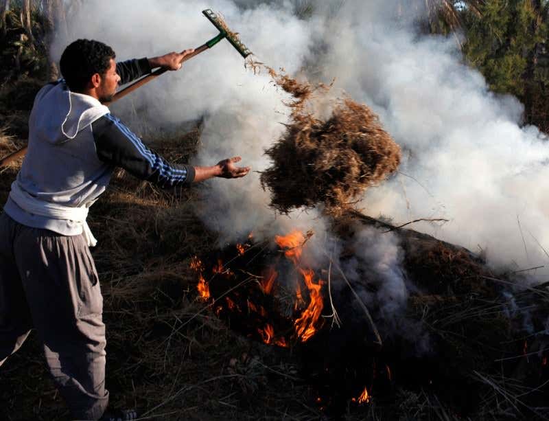 New Scientist. Science news and long reads from expert journalists, covering developments in science, technology, health and the environment on the website and the magazine.