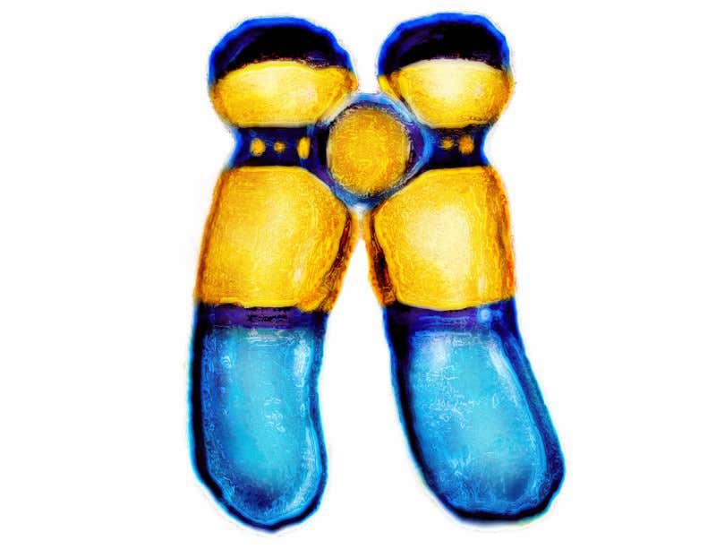 New Scientist. Science news and long reads from expert journalists, covering developments in science, technology, health and the environment on the website and the magazine.