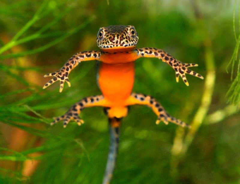 New Scientist. Science news and long reads from expert journalists, covering developments in science, technology, health and the environment on the website and the magazine.