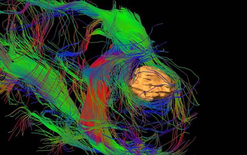 New Scientist. Science news and long reads from expert journalists, covering developments in science, technology, health and the environment on the website and the magazine.