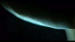 Toadstool weeps to make its own wind