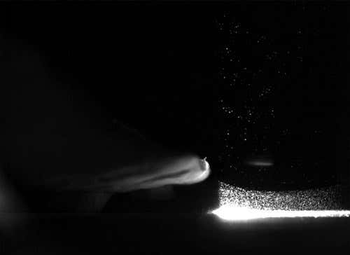 Toadstool weeps to make its own wind