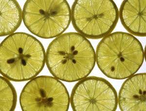 Synthetic primordial cell copies RNA for the first time