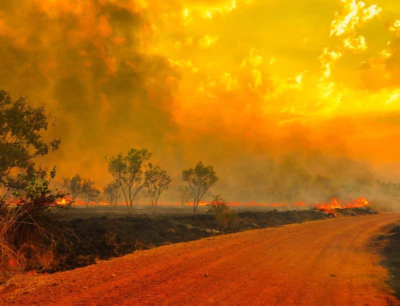 New Scientist. Science news and long reads from expert journalists, covering developments in science, technology, health and the environment on the website and the magazine.