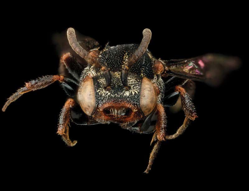 New Scientist. Science news and long reads from expert journalists, covering developments in science, technology, health and the environment on the website and the magazine.