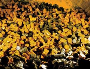 Waste away: Nuclear power's eternal problem