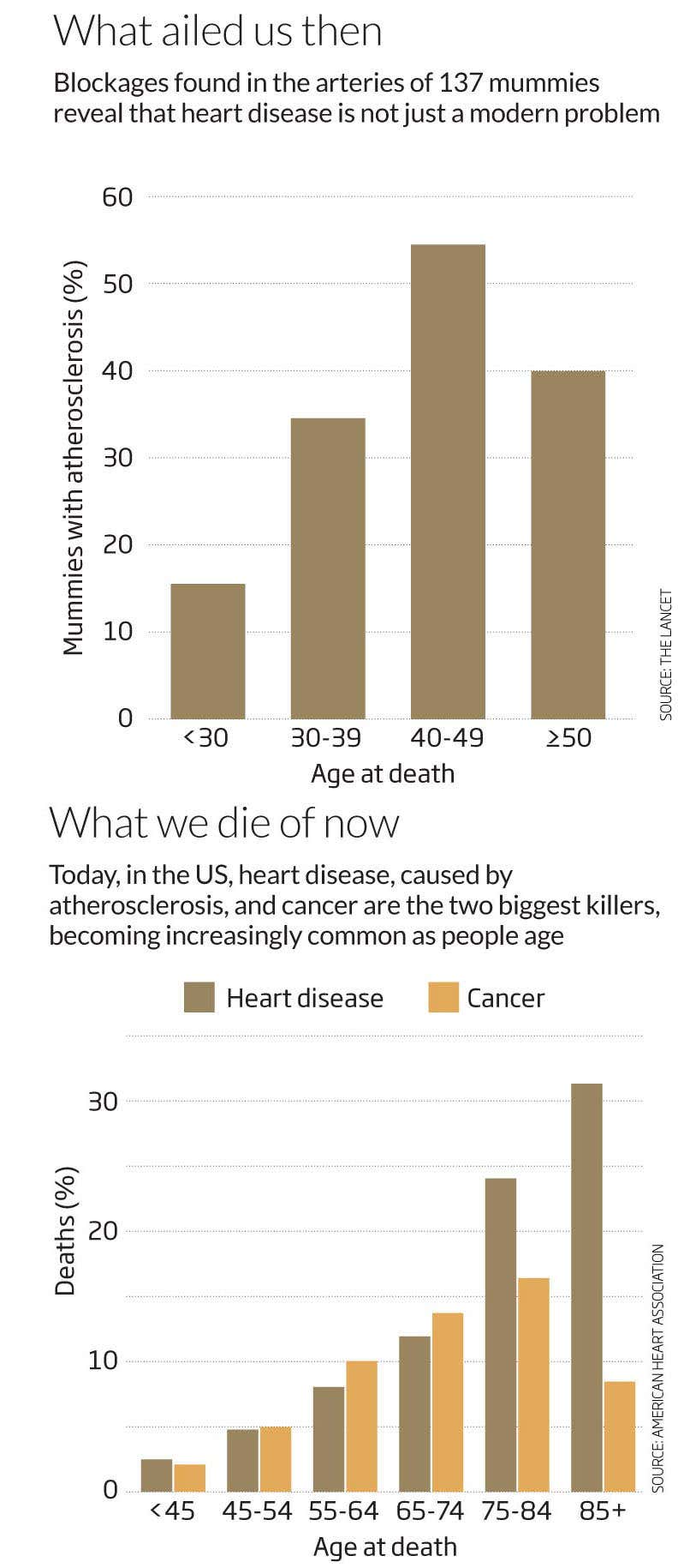 New Scientist. Science news and long reads from expert journalists, covering developments in science, technology, health and the environment on the website and the magazine.