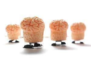 Run yourself smarter: How exercise boosts your brain