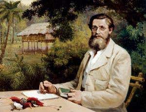 Alfred Russel Wallace: A very rare specimen