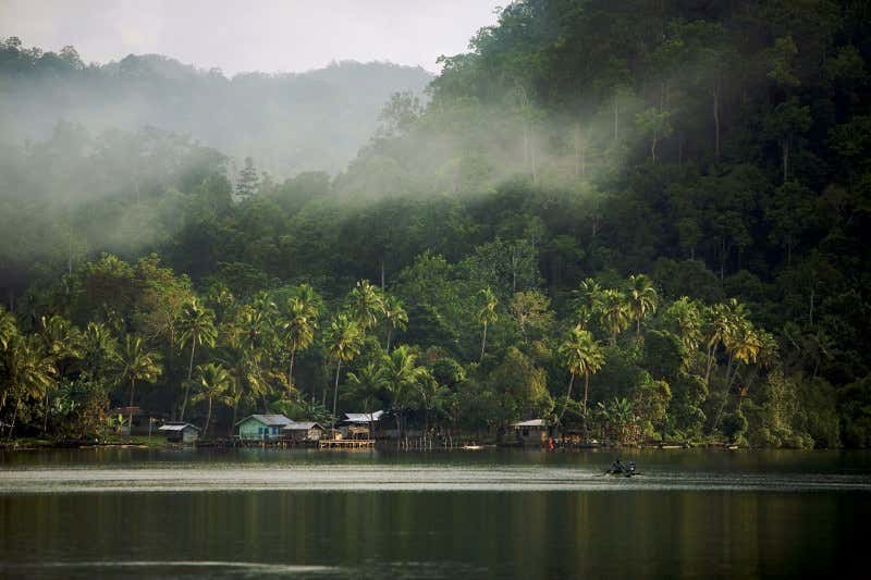 Alfred Russel Wallace: A very rare specimen