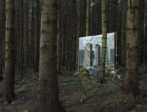 Primeval planet: What if humans had never existed?