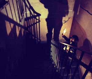 The night: Your nocturnal transformation revealed