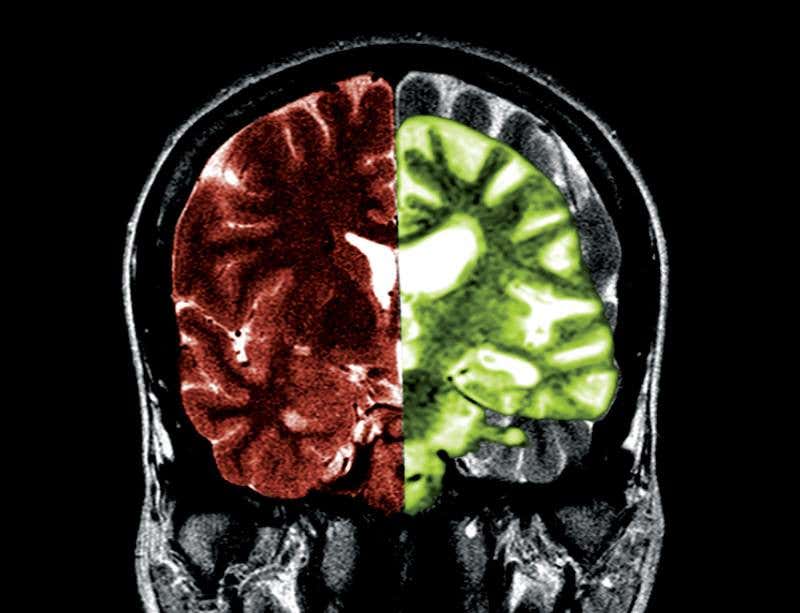 New Scientist. Science news and long reads from expert journalists, covering developments in science, technology, health and the environment on the website and the magazine.