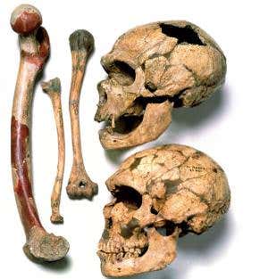 Inbreeding shaped the course of human evolution