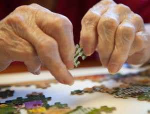 Fake brain helps investigate age's intelligence decline