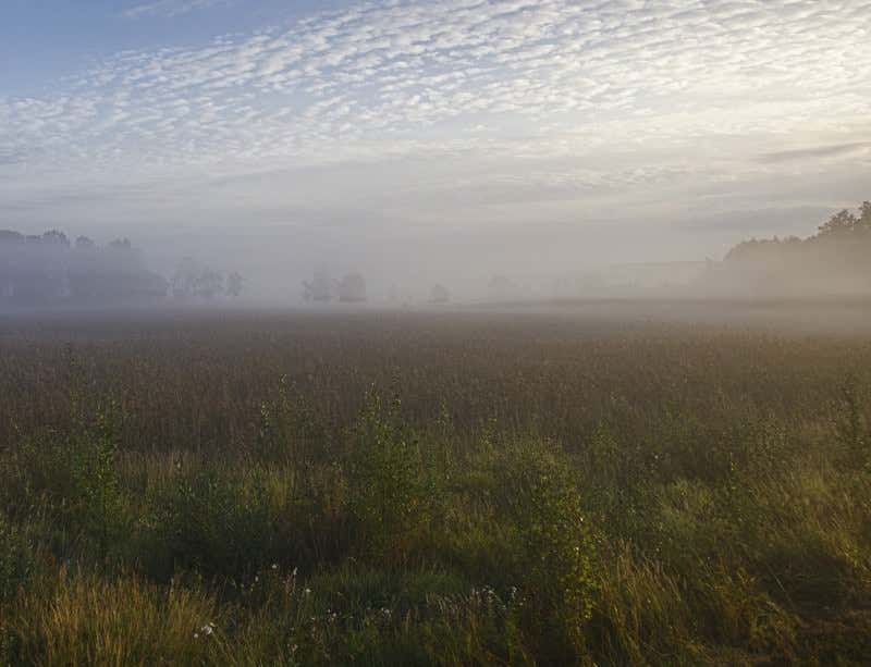 New Scientist. Science news and long reads from expert journalists, covering developments in science, technology, health and the environment on the website and the magazine.