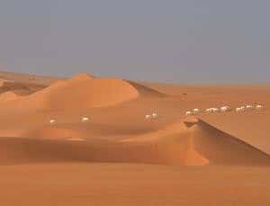 Species are being lost in a sea of sand