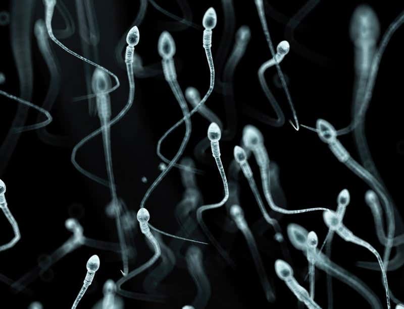 New Scientist. Science news and long reads from expert journalists, covering developments in science, technology, health and the environment on the website and the magazine.