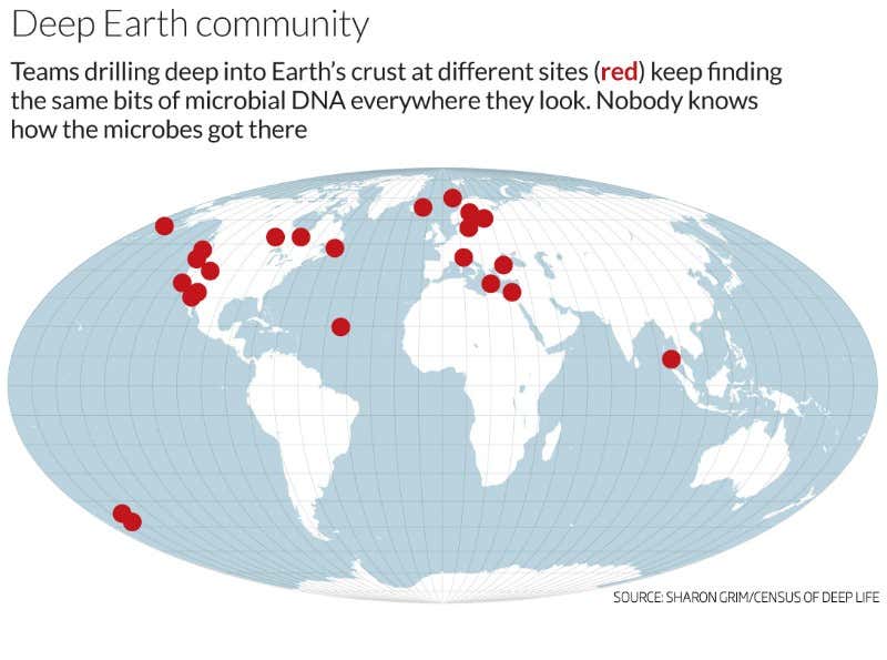 The 19 superbugs that rule Earth's hidden depths