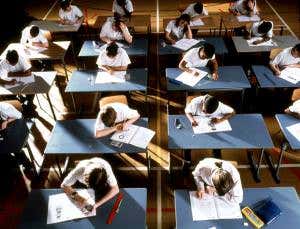 Nature more than nurture determines exam success