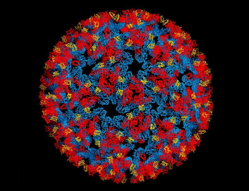 New Scientist. Science news and long reads from expert journalists, covering developments in science, technology, health and the environment on the website and the magazine.