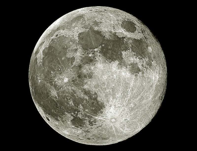 New Scientist. Science news and long reads from expert journalists, covering developments in science, technology, health and the environment on the website and the magazine.