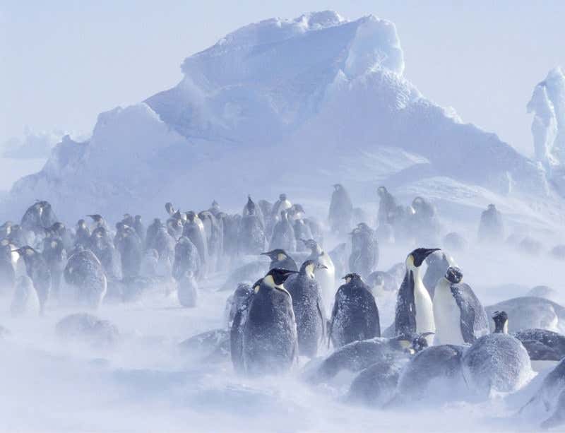 New Scientist. Science news and long reads from expert journalists, covering developments in science, technology, health and the environment on the website and the magazine.