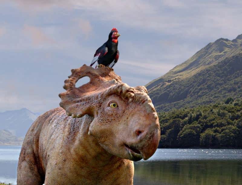 New Scientist. Science news and long reads from expert journalists, covering developments in science, technology, health and the environment on the website and the magazine.